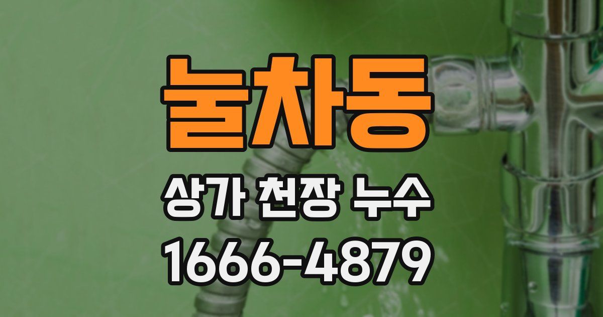 눌차동 상가 천장 누수