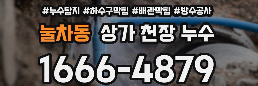 눌차동 상가 천장 누수