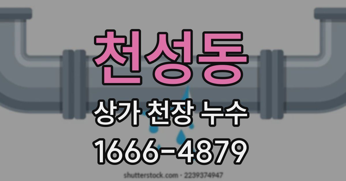 천성동 상가 천장 누수