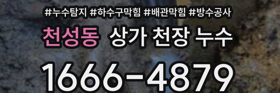 천성동 상가 천장 누수