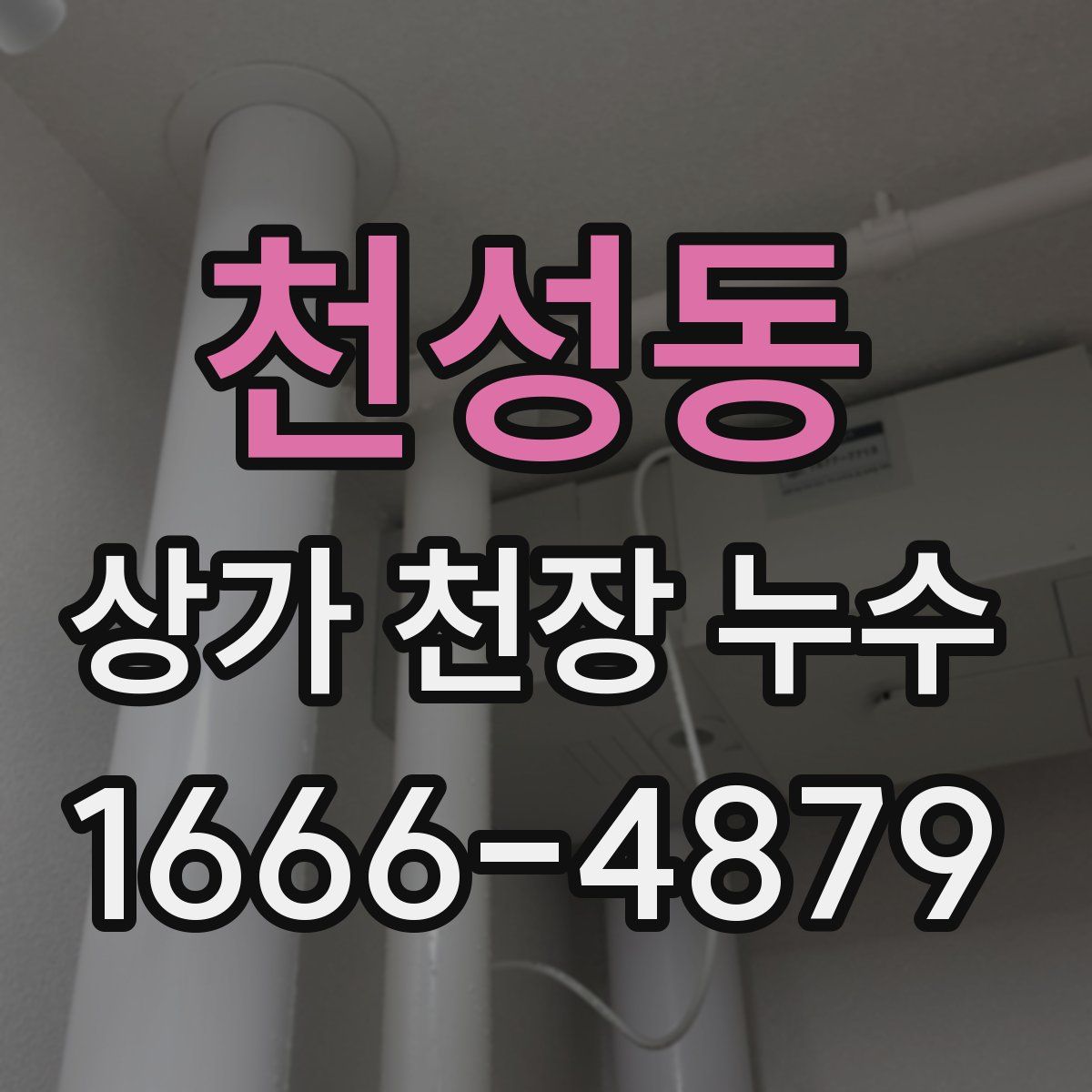천성동 상가 천장 누수