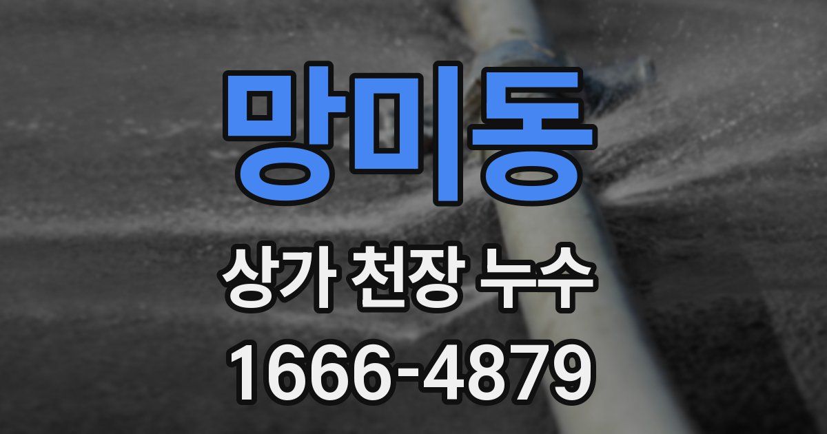 망미동 상가 천장 누수