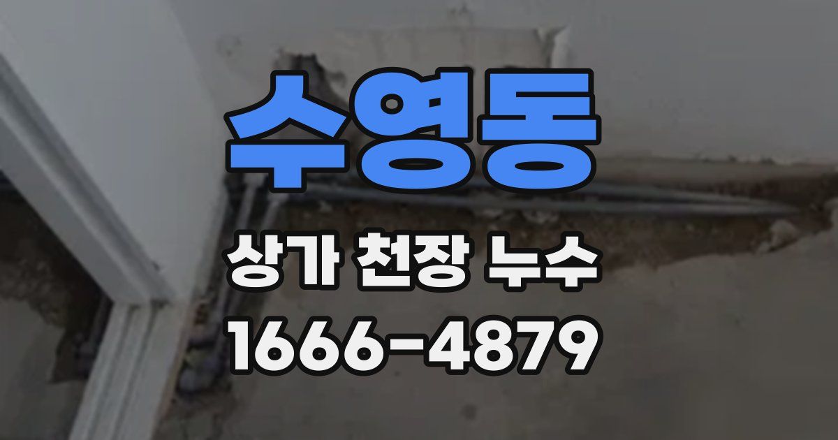 수영동 상가 천장 누수