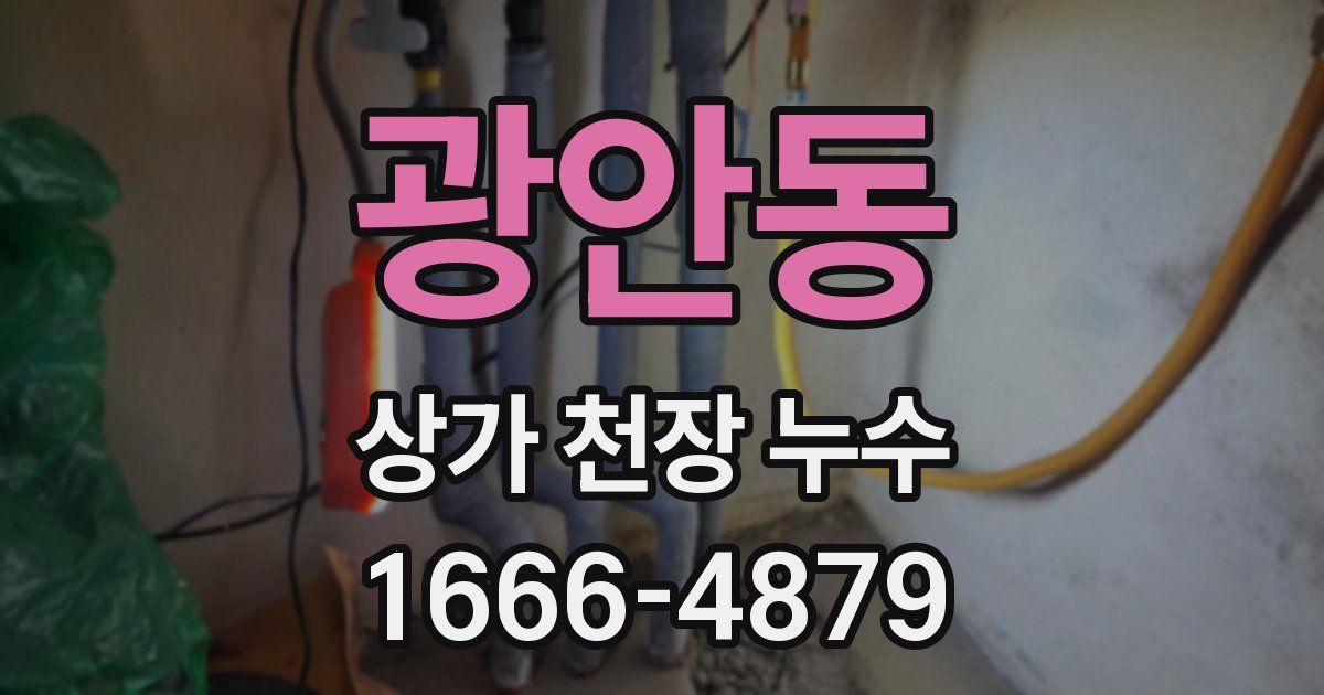 광안동 상가 천장 누수