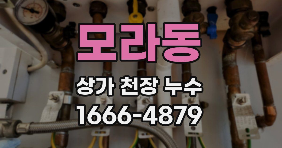 모라동 상가 천장 누수