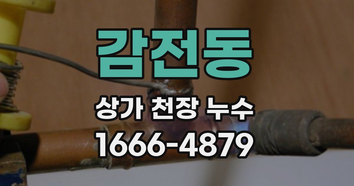 감전동 상가 천장 누수