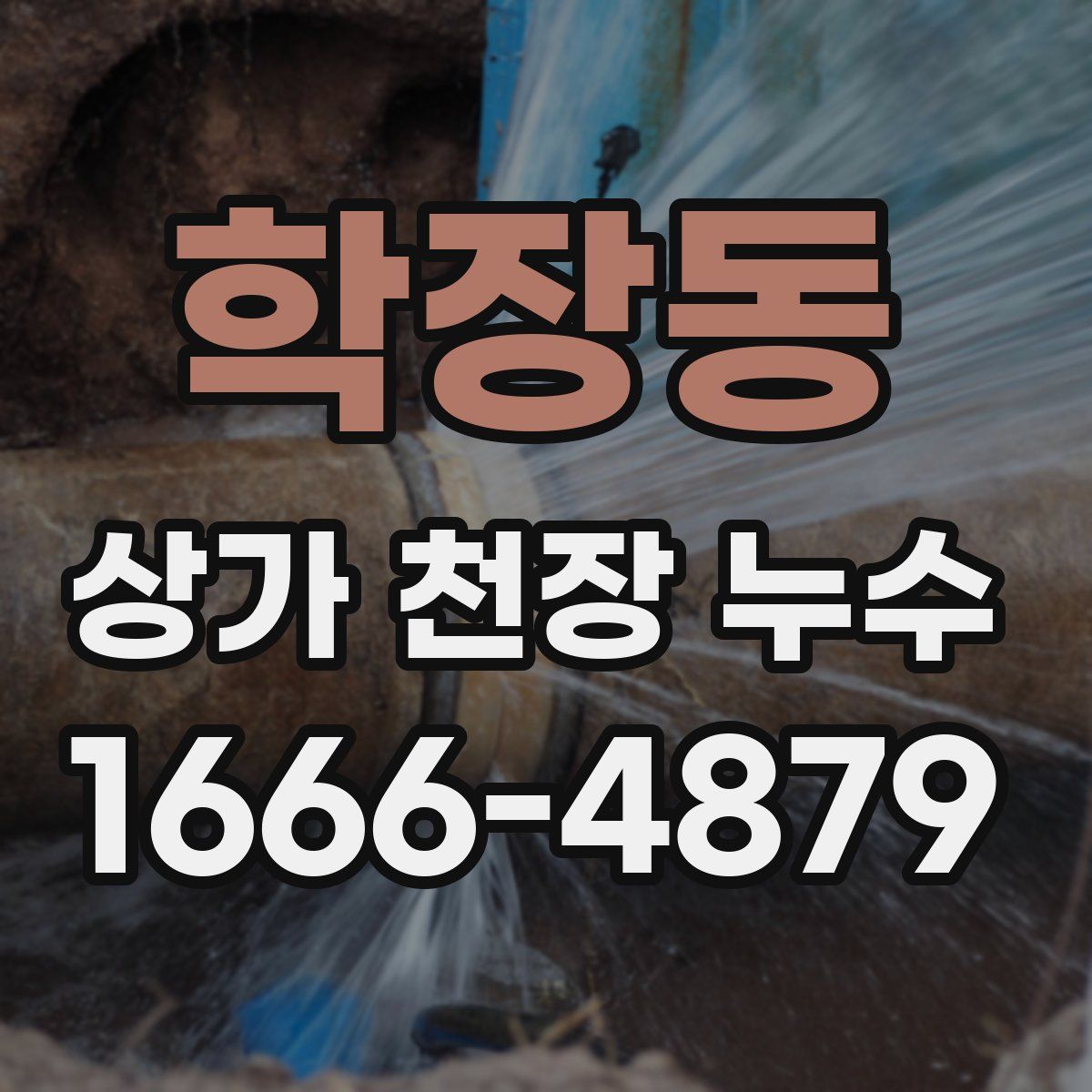 학장동 상가 천장 누수
