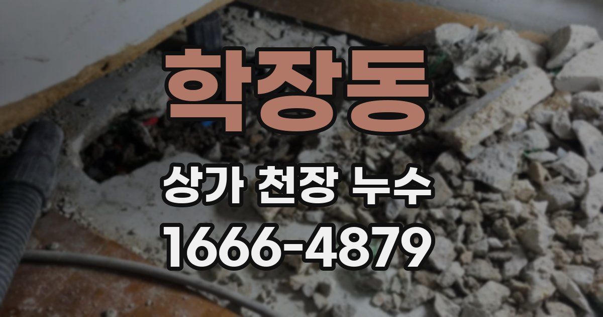 학장동 상가 천장 누수