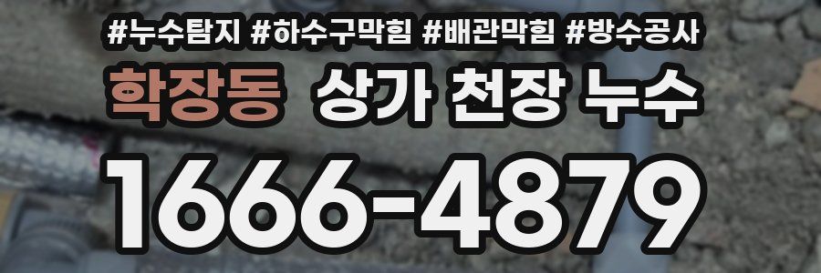 학장동 상가 천장 누수