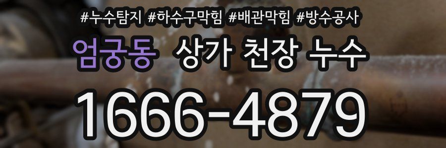 엄궁동 상가 천장 누수