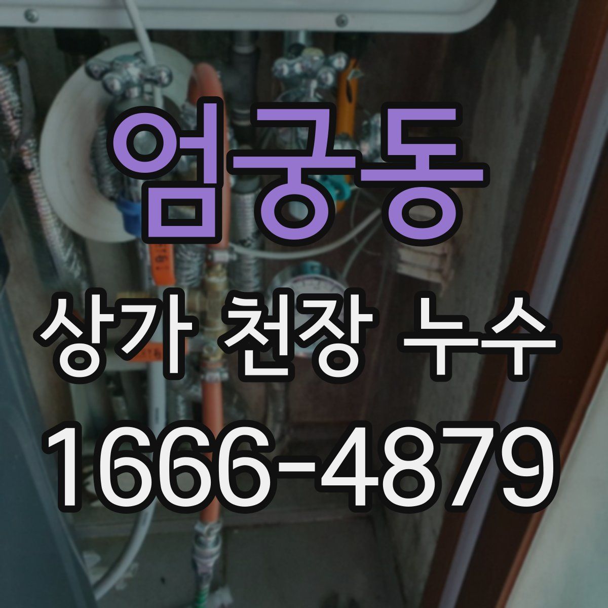 엄궁동 상가 천장 누수