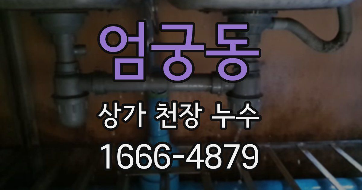 엄궁동 상가 천장 누수