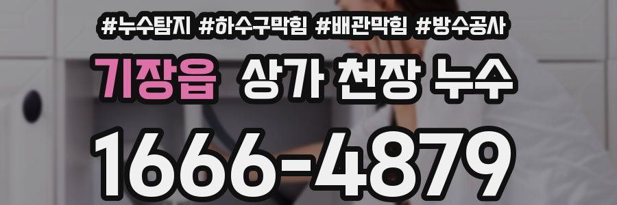 기장읍 상가 천장 누수