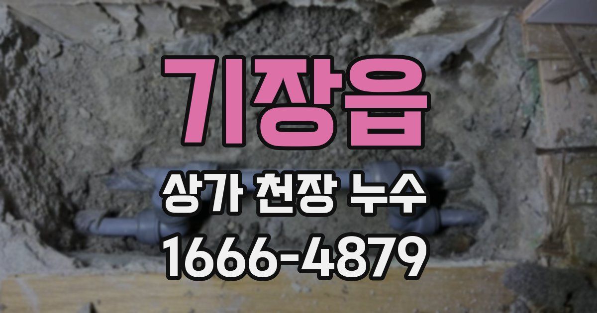 기장읍 상가 천장 누수