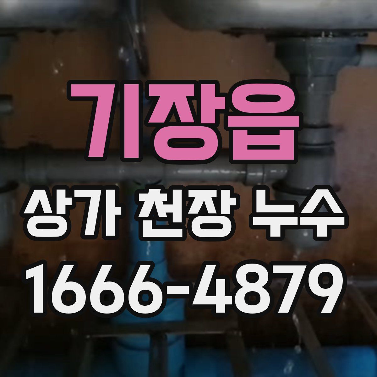 기장읍 상가 천장 누수