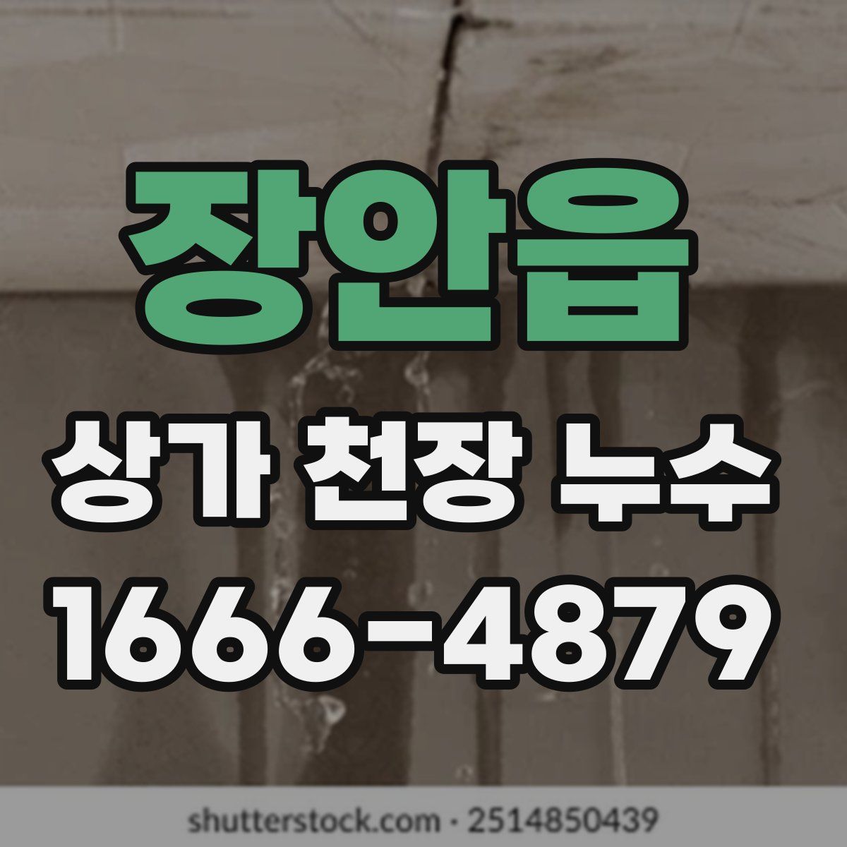 장안읍 상가 천장 누수