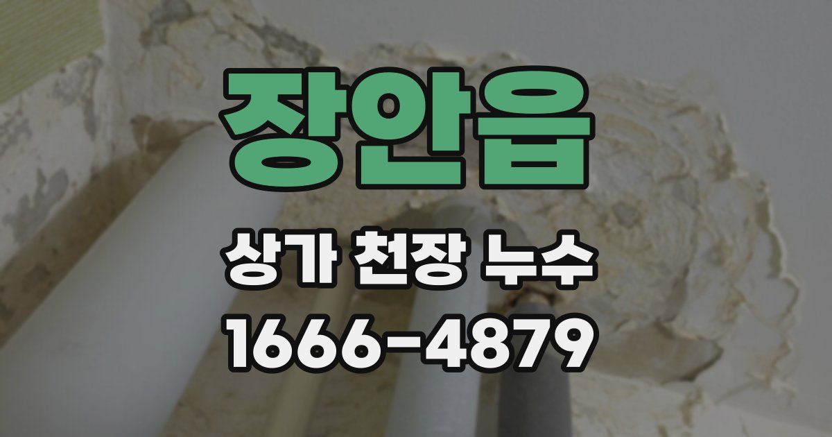 장안읍 상가 천장 누수