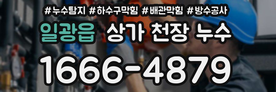 일광읍 상가 천장 누수