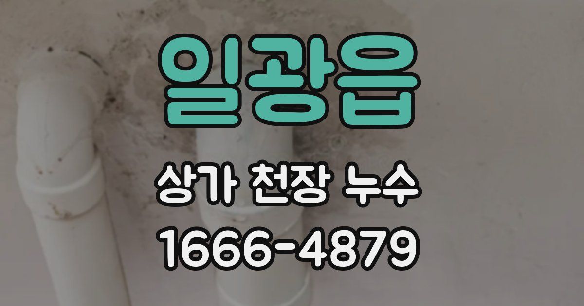 일광읍 상가 천장 누수
