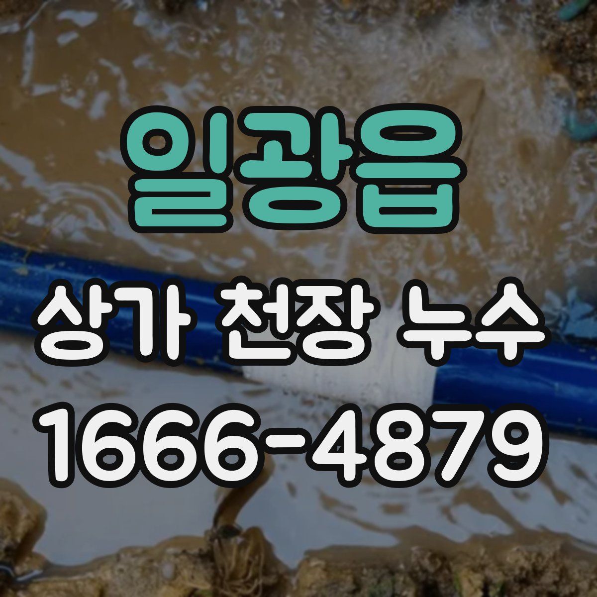 일광읍 상가 천장 누수