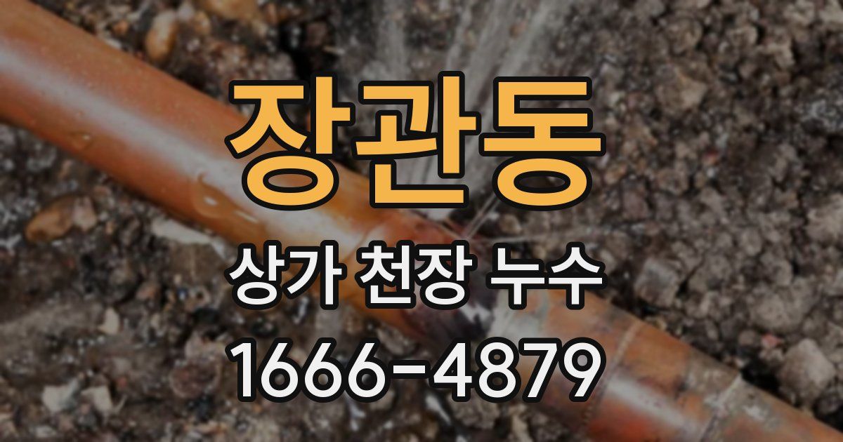 장관동 상가 천장 누수