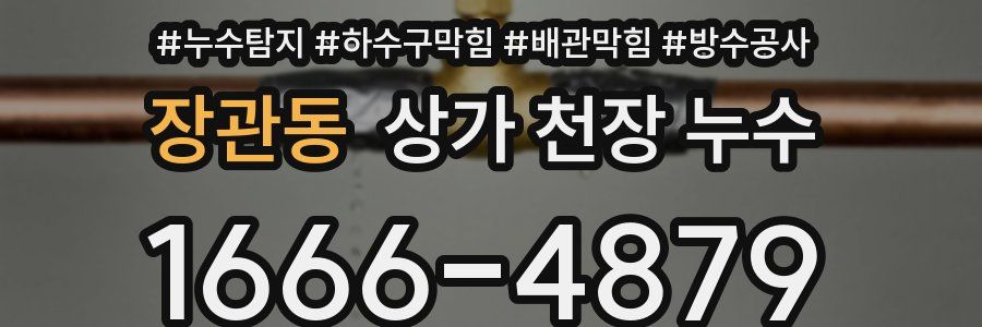 장관동 상가 천장 누수