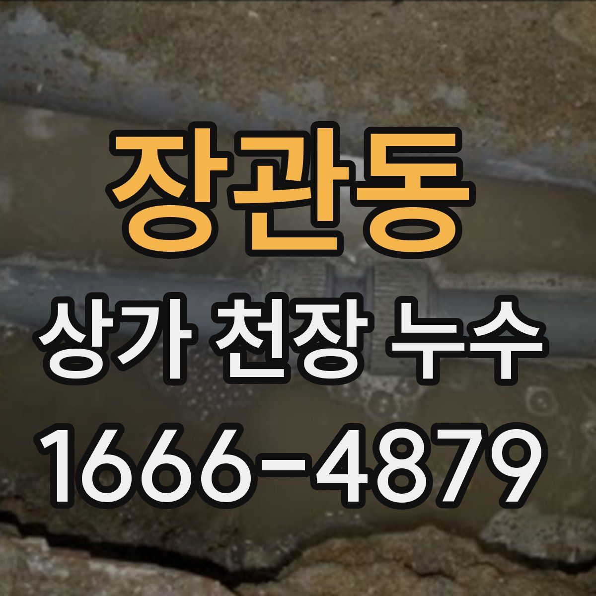 장관동 상가 천장 누수
