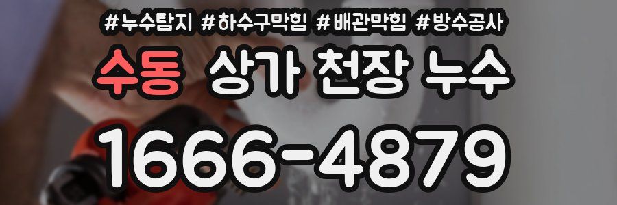 수동 상가 천장 누수
