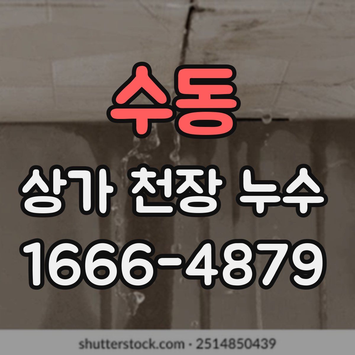 수동 상가 천장 누수