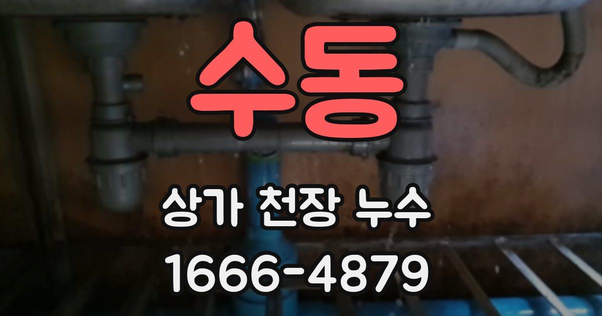 수동 상가 천장 누수