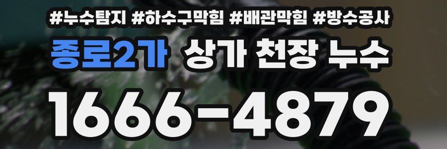 종로2가 상가 천장 누수