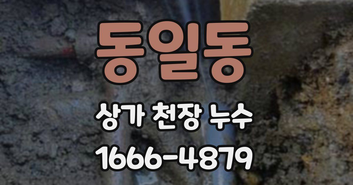 동일동 상가 천장 누수