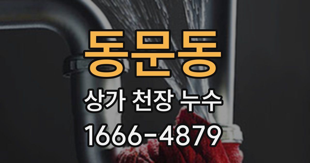 동문동 상가 천장 누수