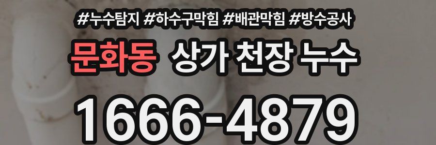 문화동 상가 천장 누수