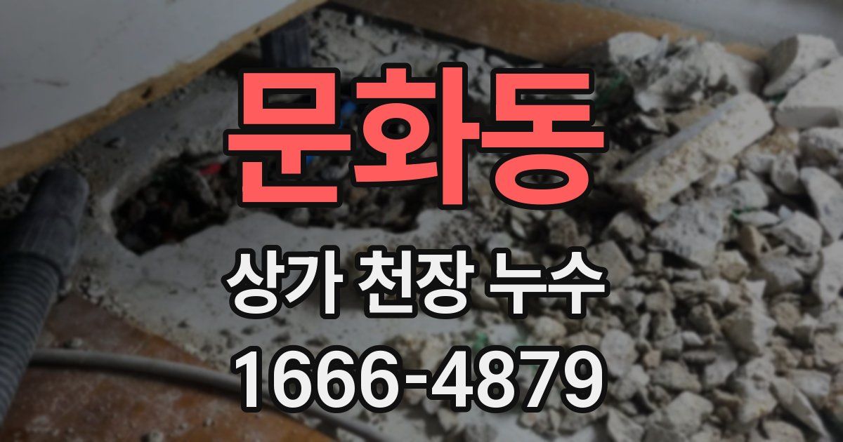 문화동 상가 천장 누수