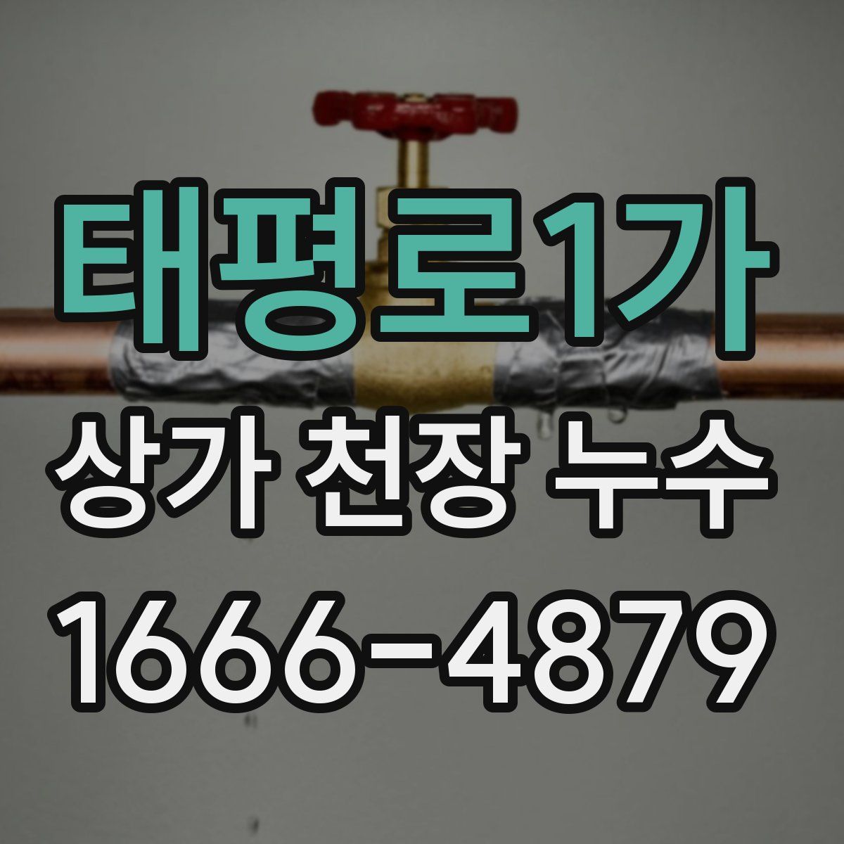 태평로1가 상가 천장 누수