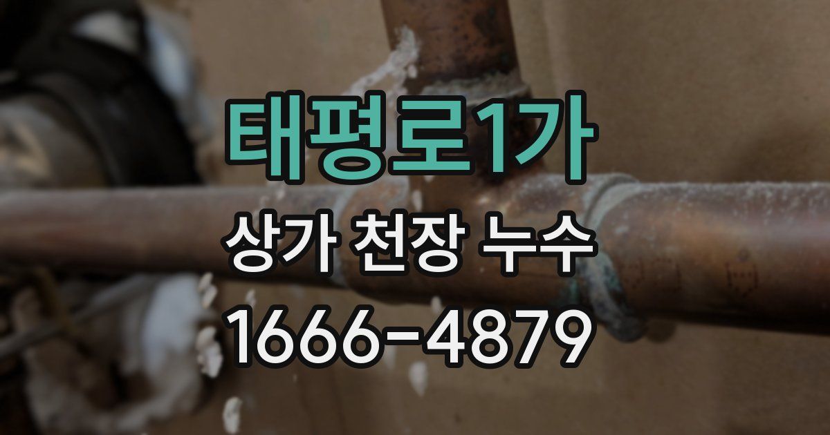 태평로1가 상가 천장 누수