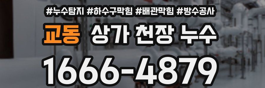 교동 상가 천장 누수