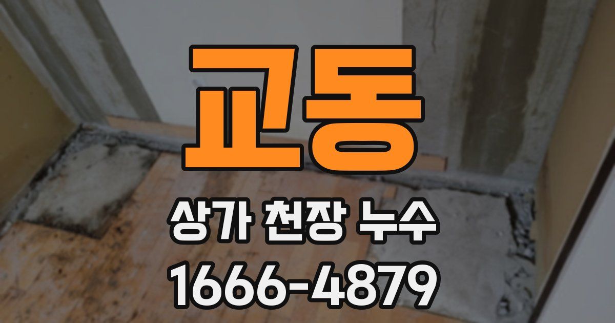 교동 상가 천장 누수
