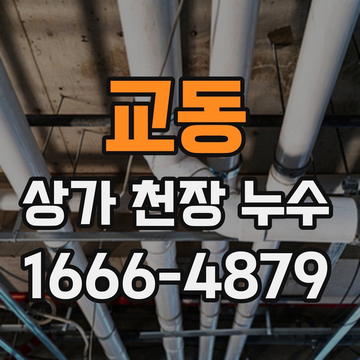 교동 상가 천장 누수