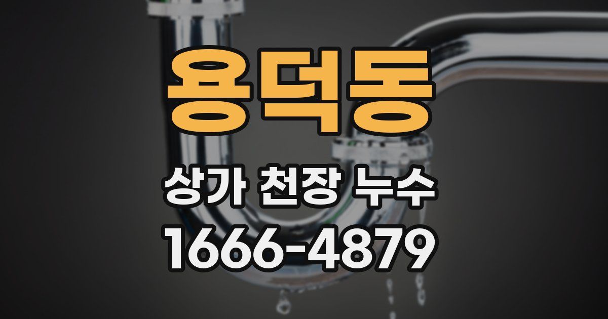 용덕동 상가 천장 누수