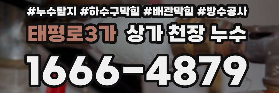 태평로3가 상가 천장 누수