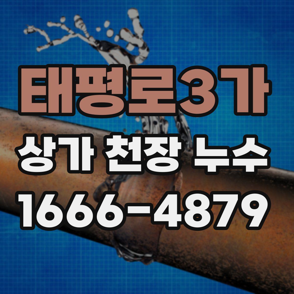 태평로3가 상가 천장 누수