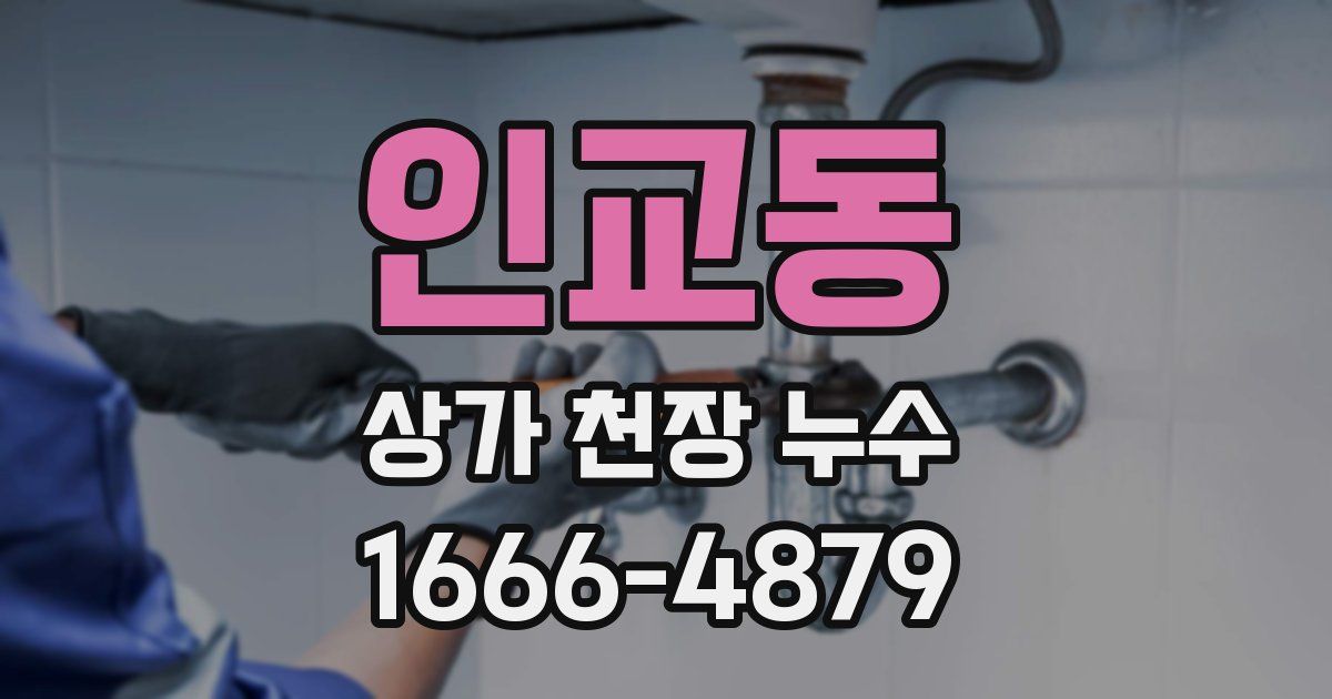 인교동 상가 천장 누수