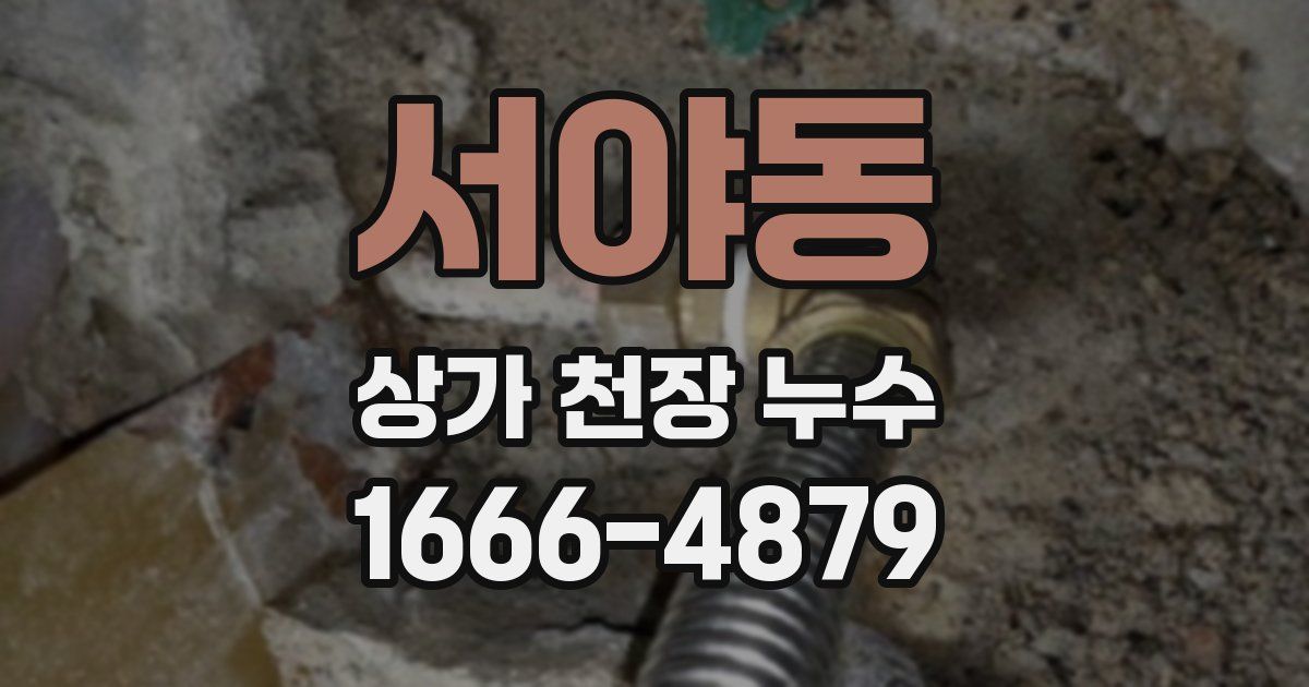서야동 상가 천장 누수