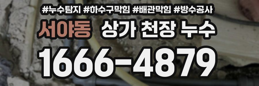 서야동 상가 천장 누수