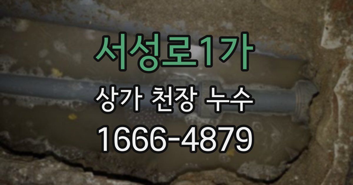 서성로1가 상가 천장 누수