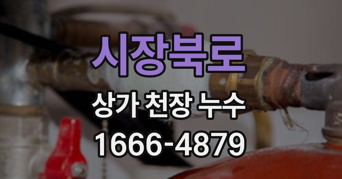 시장북로 상가 천장 누수