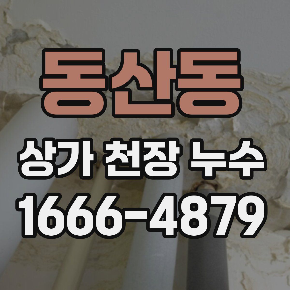 동산동 상가 천장 누수