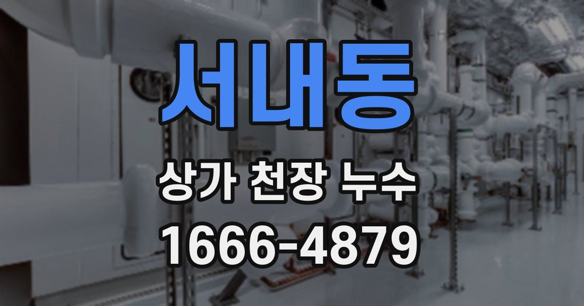 서내동 상가 천장 누수